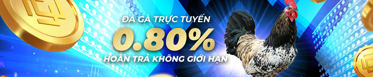 dagacuasat.ai Hoàn Trả 0.80% Không Giới Hạn Mỗi ngày tại Đá Gà